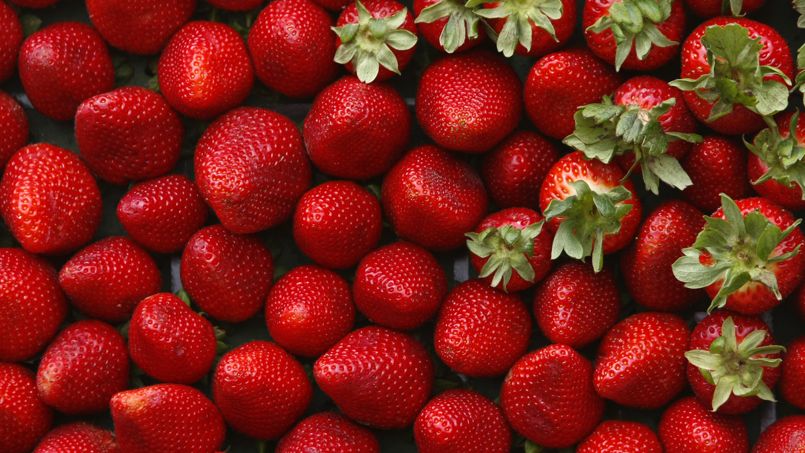 Tarte aux fraises sur sablé breton Tarte aux fraises sur sablé breton